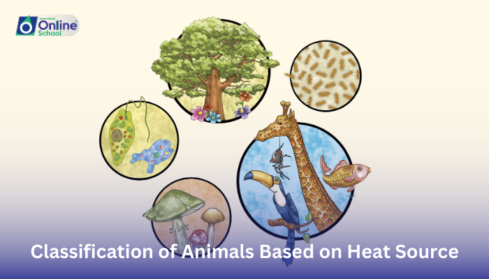 Lesson 22: Classification of Animals Based on Heat Source